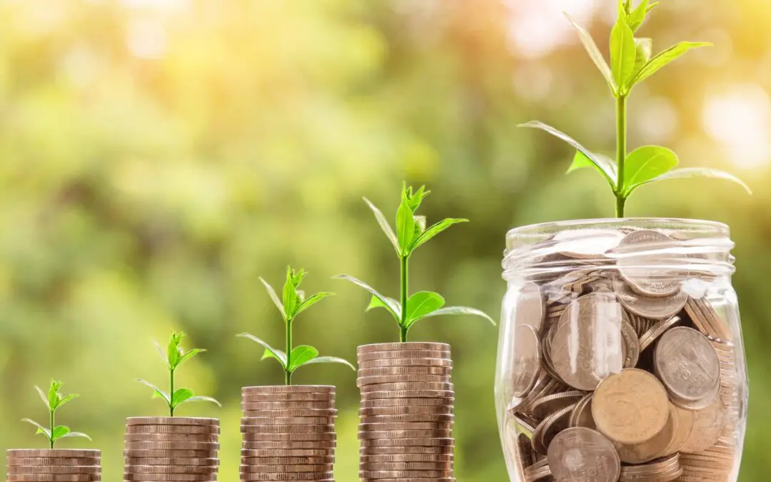 Now Offering Business Money Market