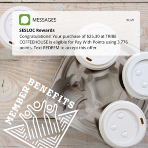 Pay With Points