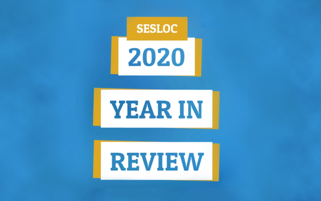 2020 Year in Review