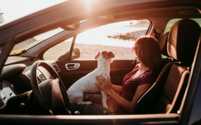 6 Money Saving Tips for Car Owners