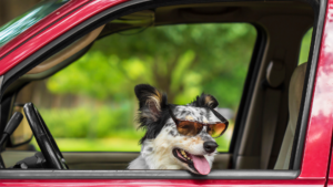 First Time Car Buyer Tips
