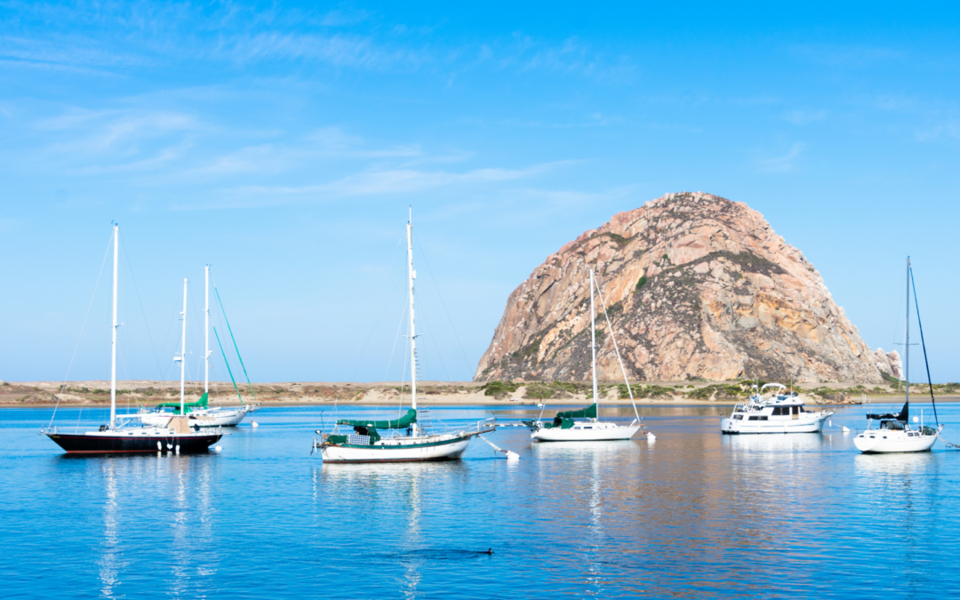 10 SESLOC Rewards for Coastal Distancing