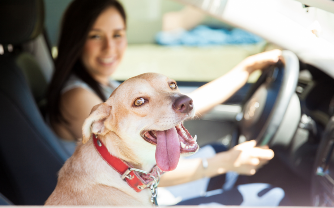 The ABCs of Auto Insurance