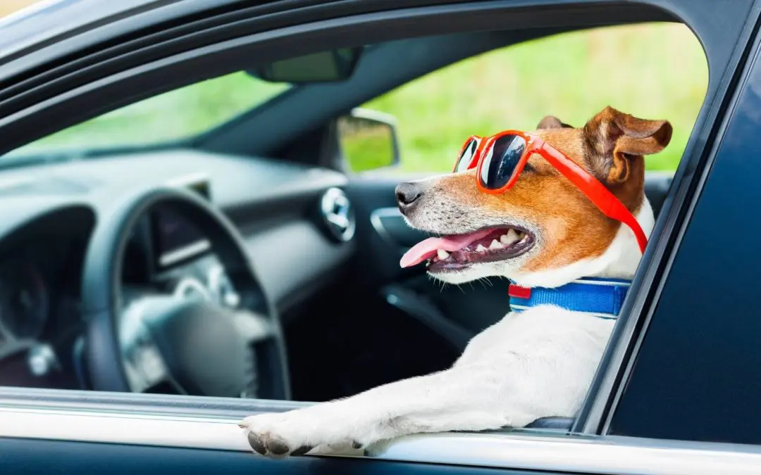 Auto Buying Resources