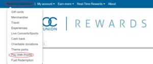 Pay With Points Drop-down