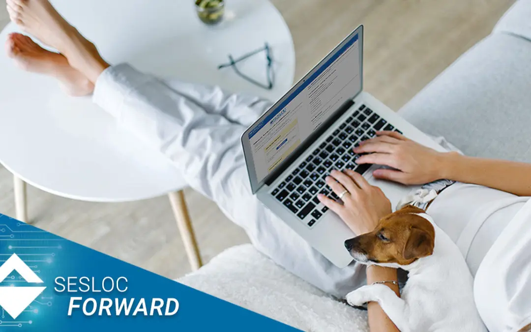 Rewards Points and Identity Theft Services Accessible in Online Banking