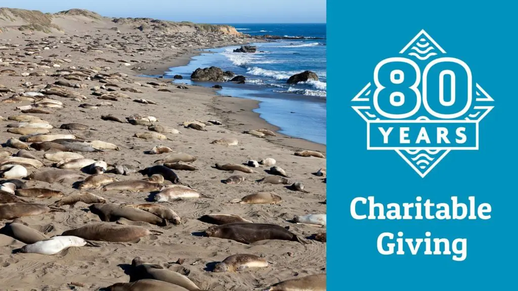 Charitable Giving