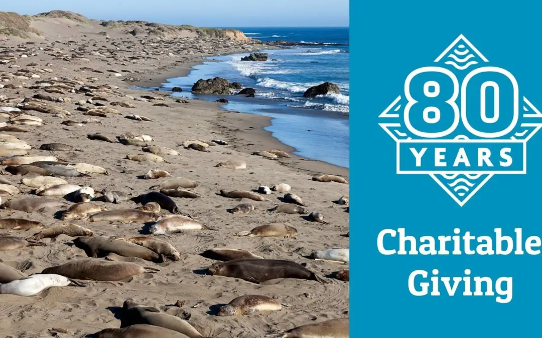 80 Years: April Charitable Giving Roundup