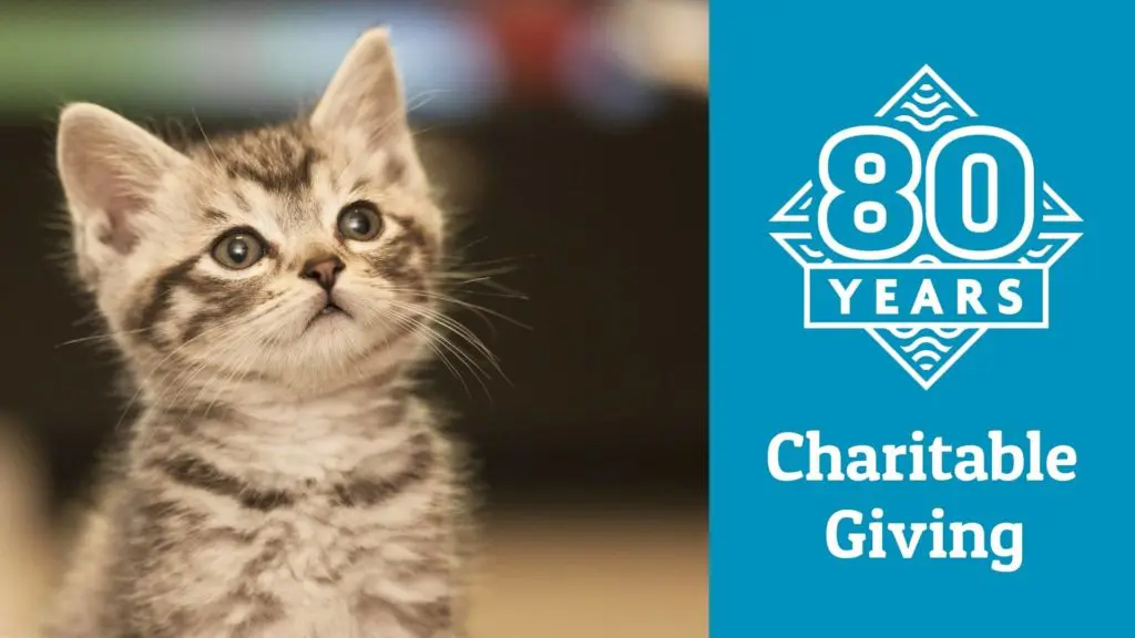 80th Nonprofit June