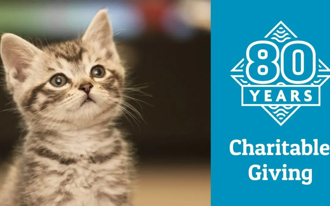 80 Years: June Charitable Giving Roundup