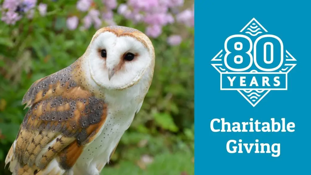 80th Nonprofits July