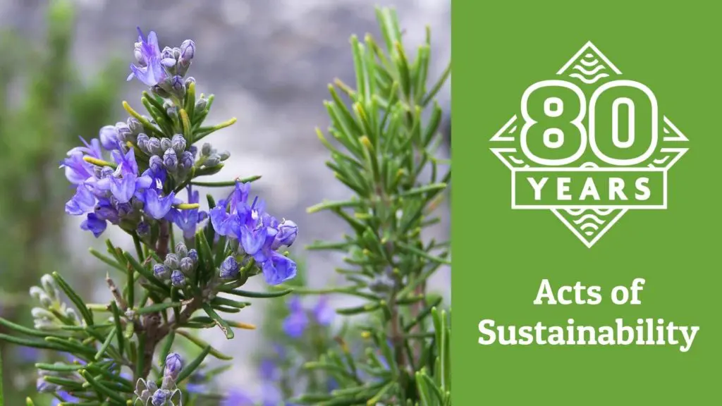 Sustainability June