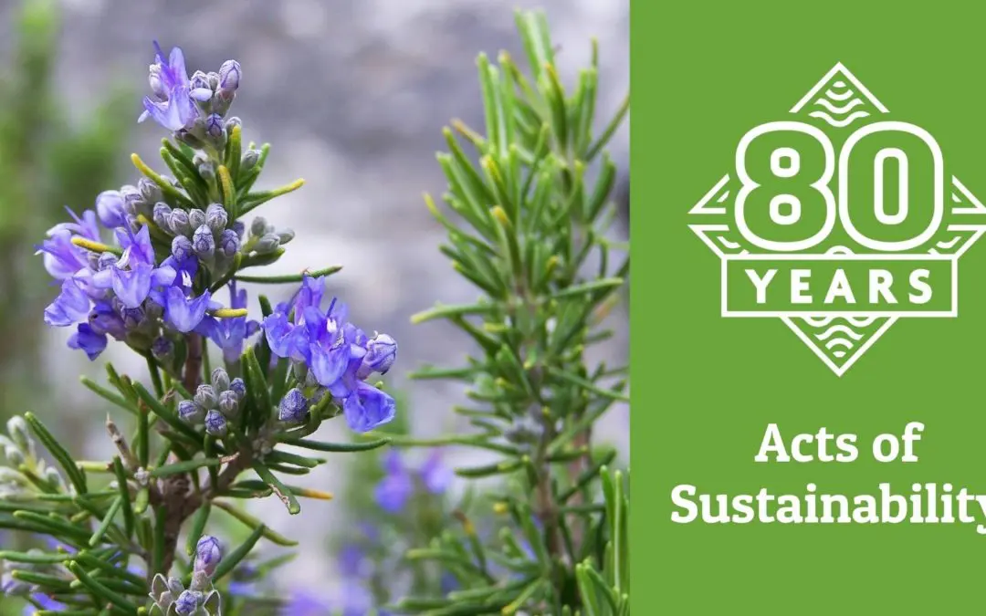 Supporting Sustainability in July