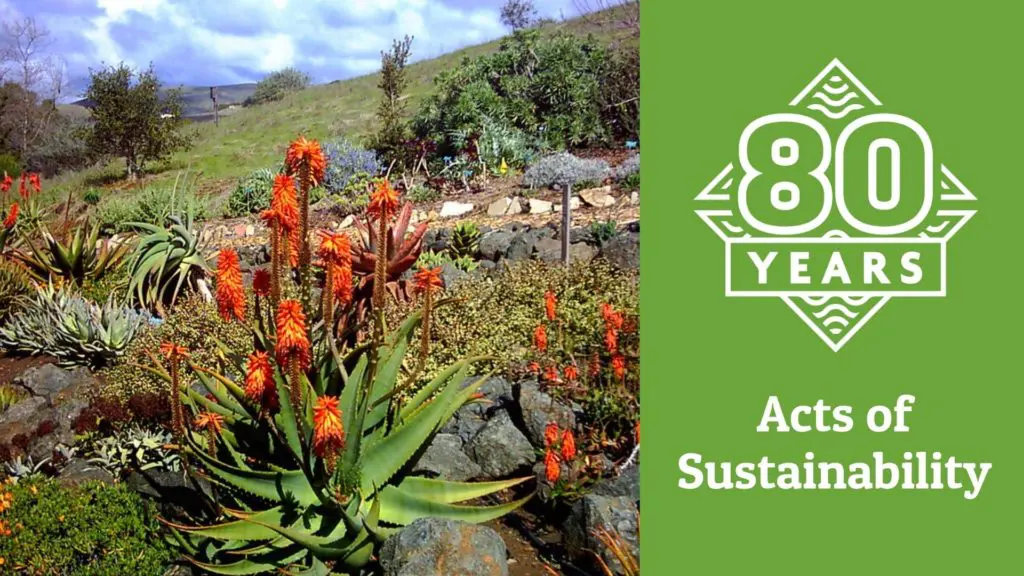 80th October Sustainability