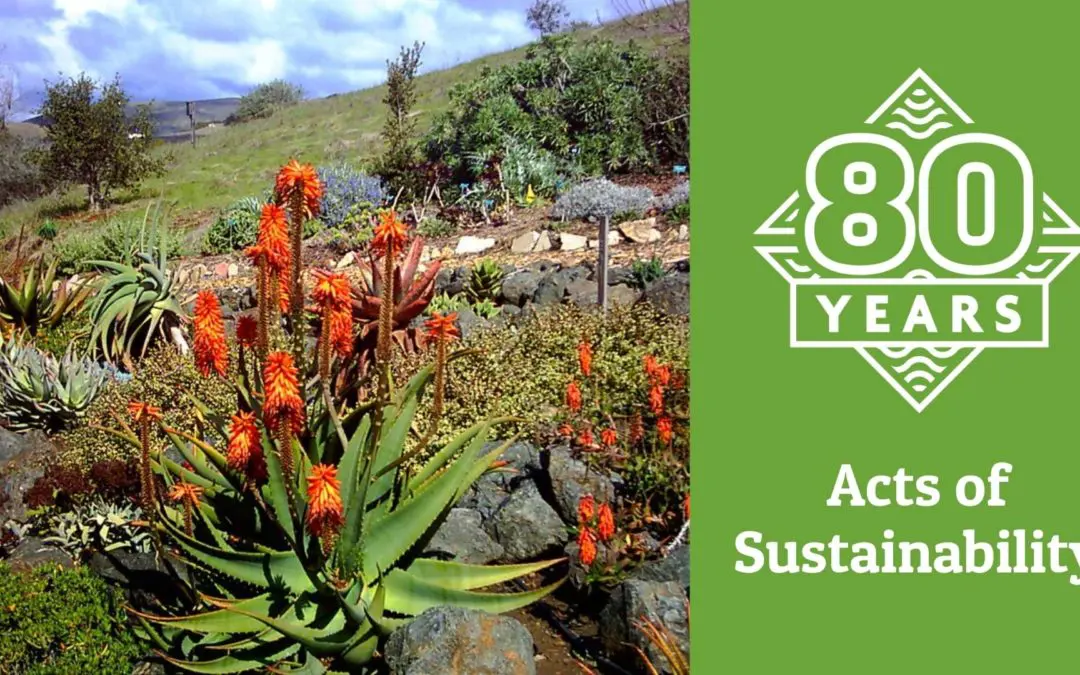 Sustainability Acts in October