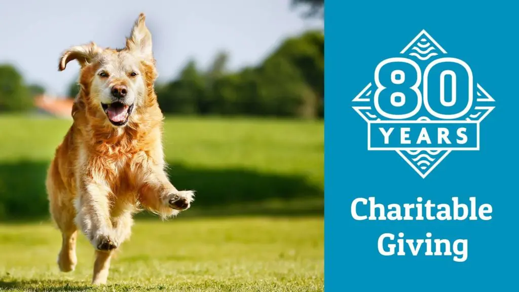 80th October Nonprofits