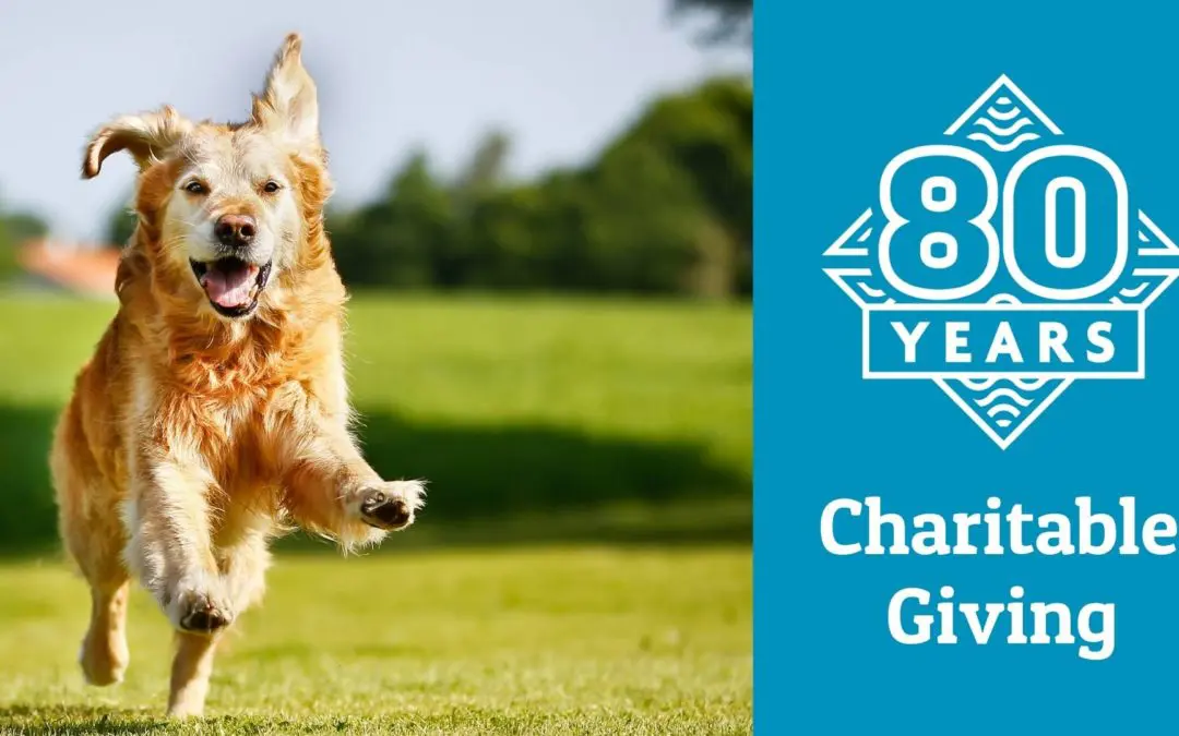 80 Years: October Charitable Giving Roundup