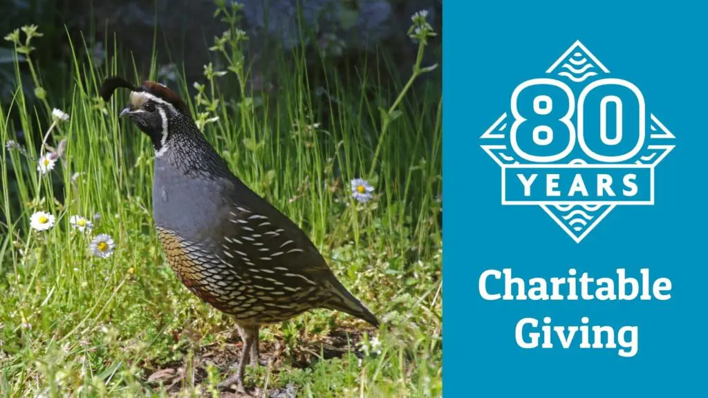 80th November Charitable Giving