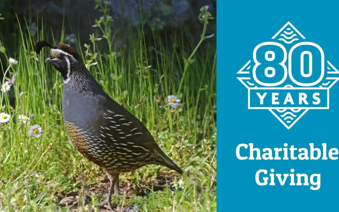 80 Years: November Charitable Giving Roundup