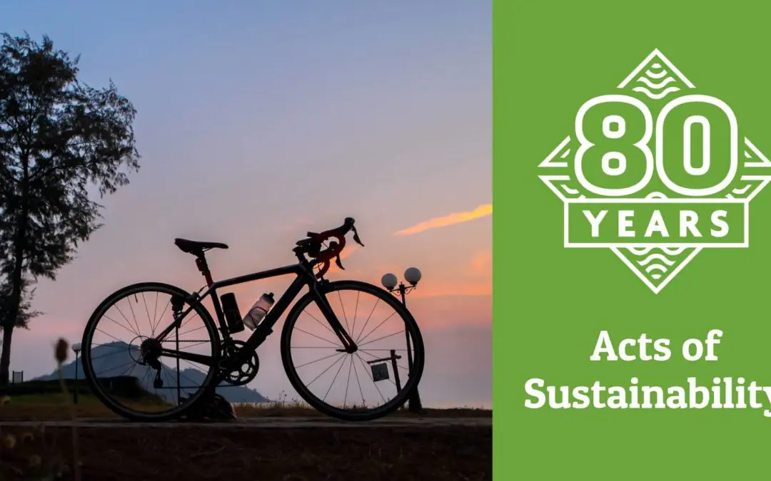 Acts of Sustainability in December