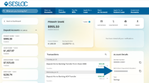 Account Details