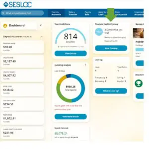 Chequeo de Salud Financiera