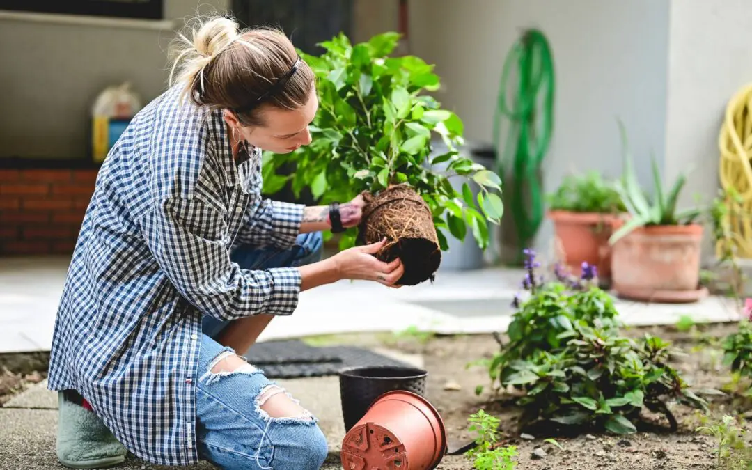 How Healthy is Your Housing Budget?