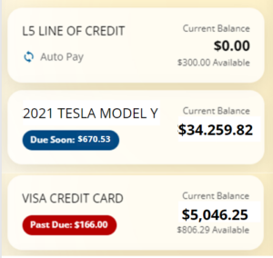 OLB Update Loan Payment