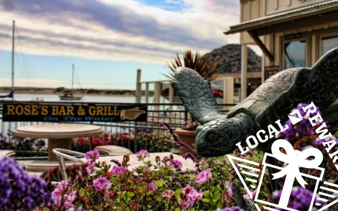 Top 5 Places to Earn Bonus Rewards Points Near the Coast