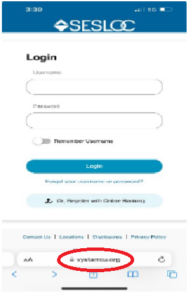 Fake log in
