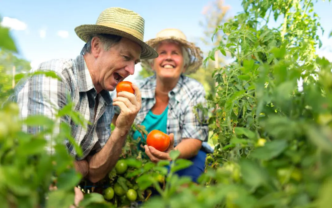 Important Social Security Updates for Retirees in 2025