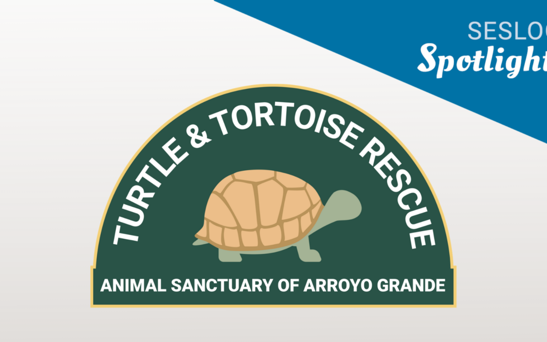SESLOC Spotlight: Turtle and Tortoise Rescue of Arroyo Grande