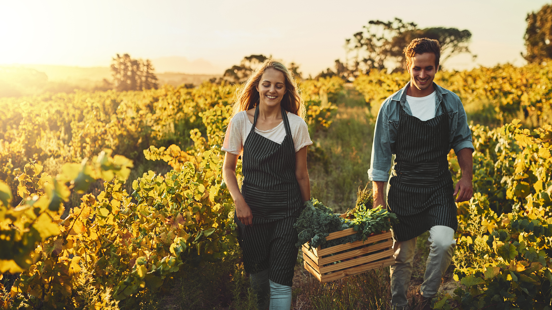 Happy farmers carrying crops outside, representing the importance of planting now to harvest later.