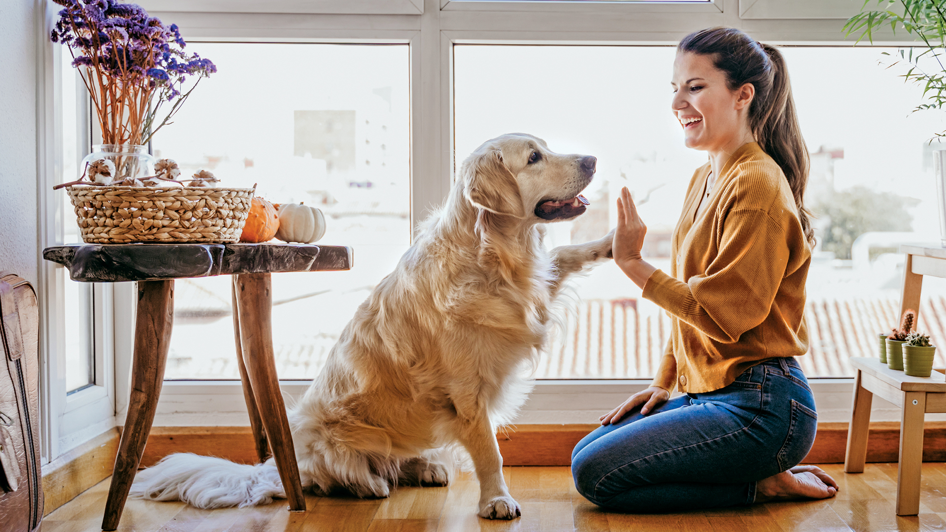 Woman at home high fives her golden retriever..