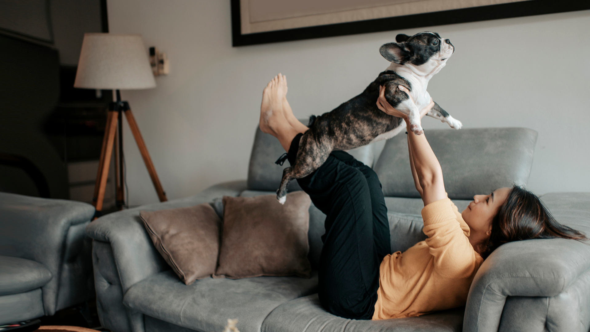 Woman on couch with French Bulldog on her knees..