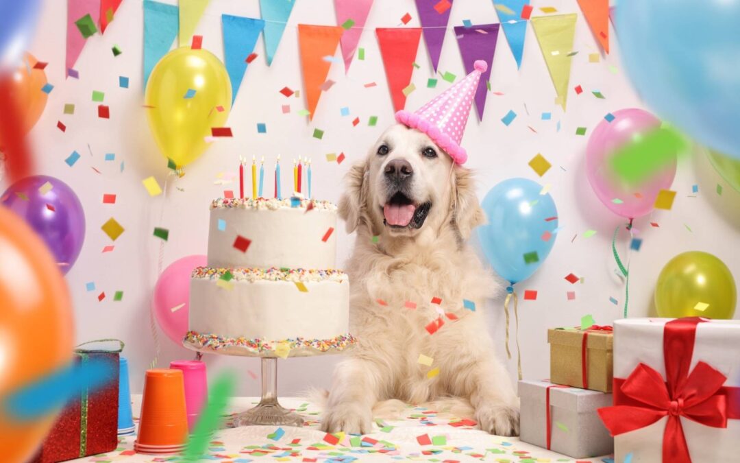 Celebrate Your Birthday With These 5 Financial Wellness Tips