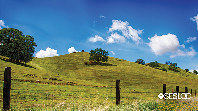 Green hills and oaks dot the landscape in Norther San Luis Obispo County.