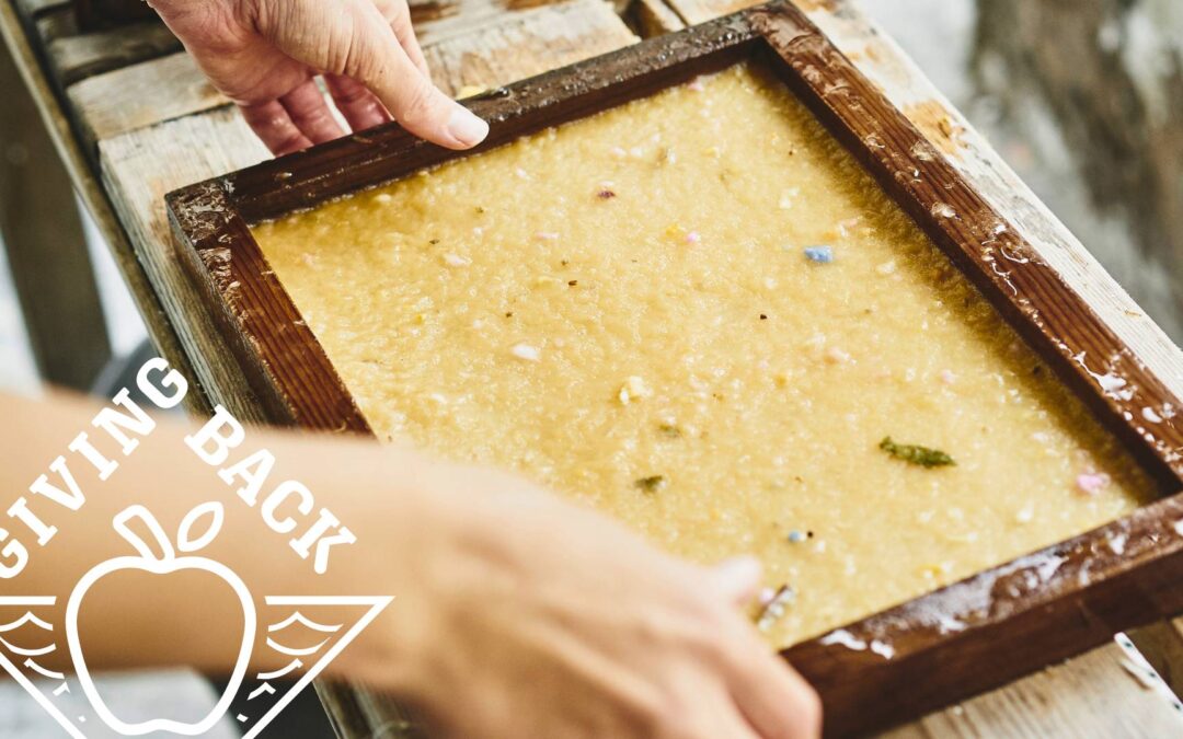 SESLOC Funds 55 Education Grants in 2023