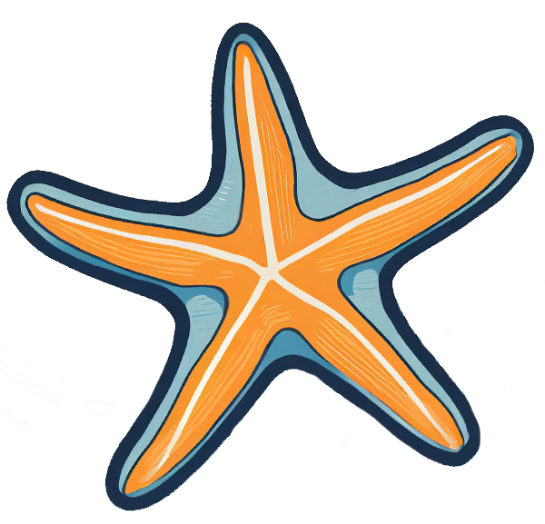 starfish illustration