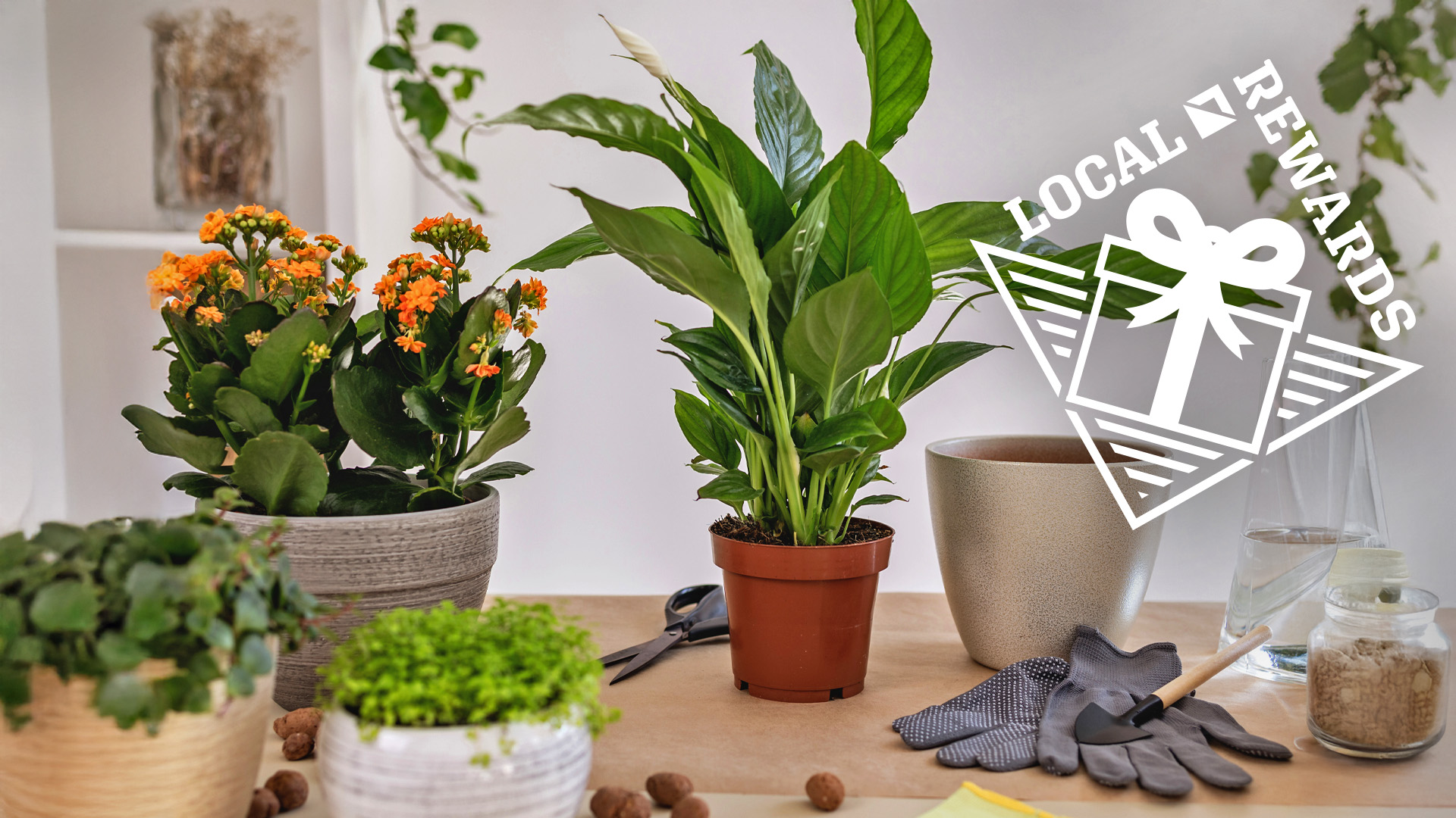 Local Rewards at Miner's Ace Hardware