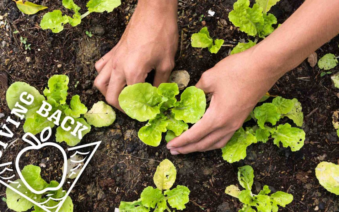 SESLOC Starts the 2025-26 School Year with Over $6,000 in Education Grants