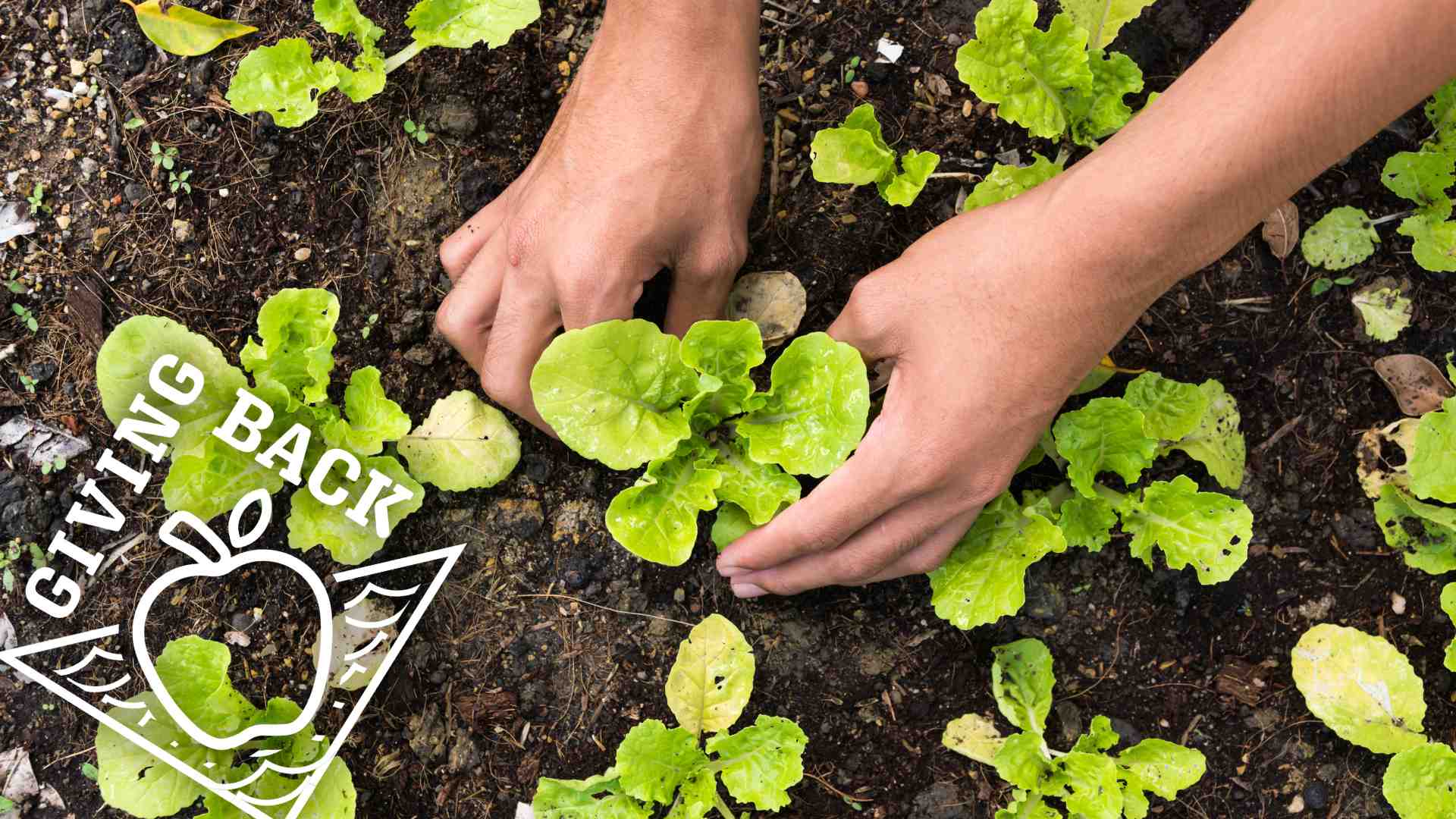 Fall 2025 Education Grants Update