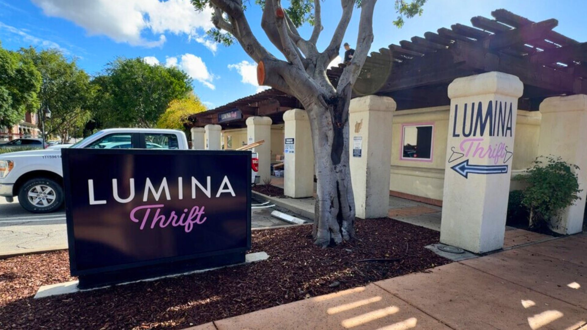 Lumina Alliance